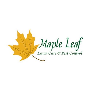 Image for Maple Leaf Lawn Care & Pest Control with ID of: 5627739