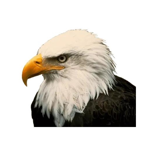 Image for Kessler, DiGiovanni & Jesuele, LLC with ID of: 5631652