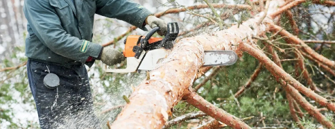 Image for Tackett's Tree Service with ID of: 5632449