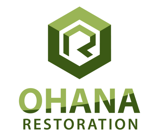 Image for Ohana Restoration with ID of: 5639039