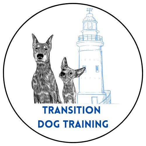 Image for Transition Dog Training with ID of: 5639154