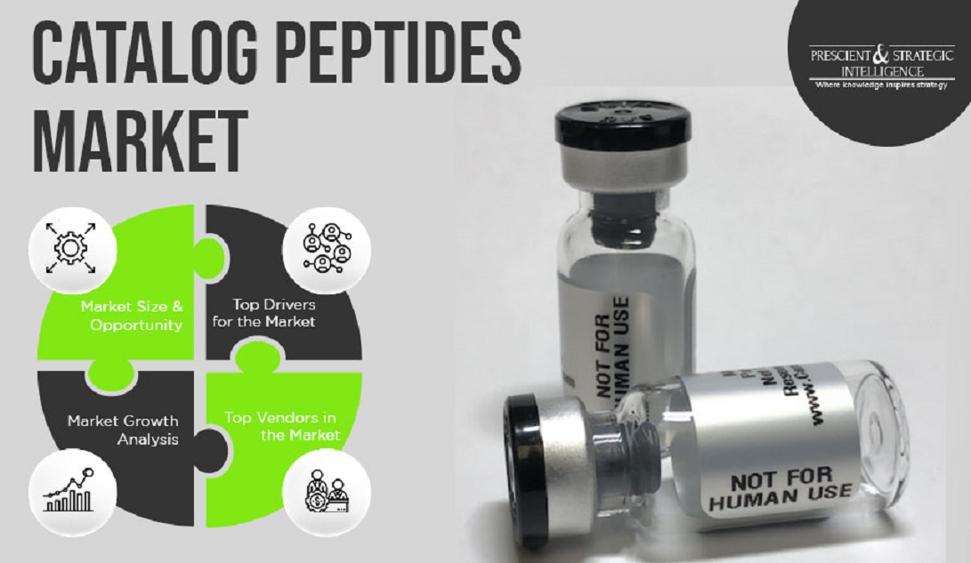 Image for Catalog Peptides Market Share, Development and Future Analysis with ID of: 5640628