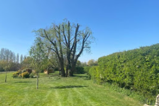 Image for D Meadows Tree Surgery with ID of: 5643777