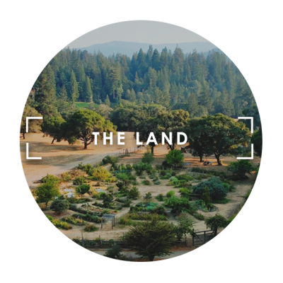 Image for The Land with ID of: 5645476