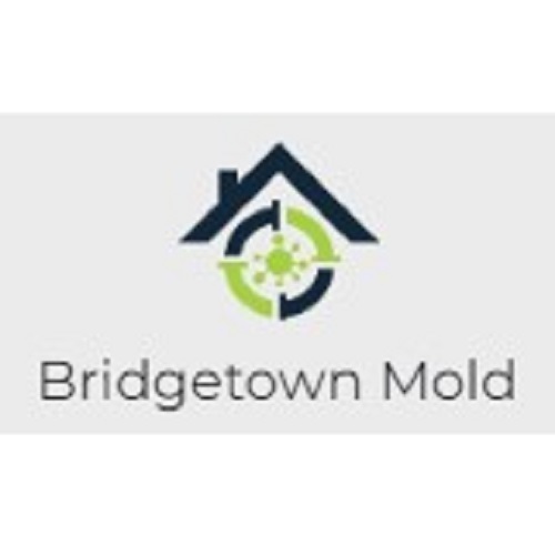 Image for Bridgetown Mold Specialist with ID of: 5667934