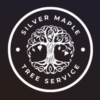 Image for Silver Maple Tree Service with ID of: 5669312