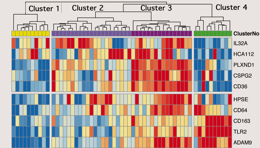 Image for Gene Panel Market: Expected Rapid Growth, Industry Size, And Share In 2028 with ID of: 5671437