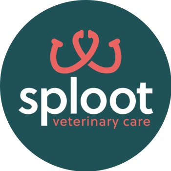 Image for Sploot Veterinary Care - RiNo with ID of: 5678588
