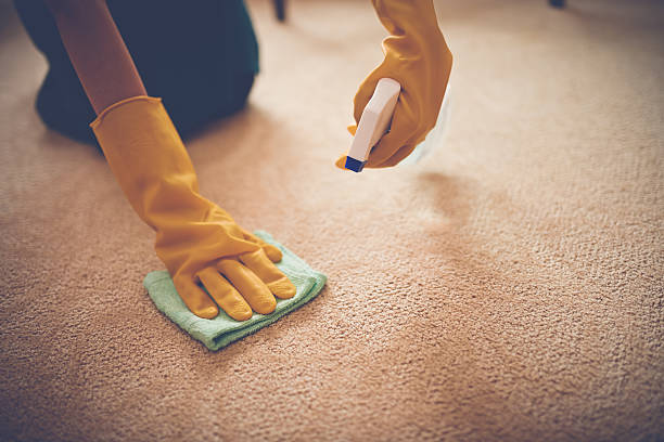Image for Stain Remover Market Size 2018: Segment Overview, Company Profiles, Regional Analysis and Forecast 2028 with ID of: 5698527