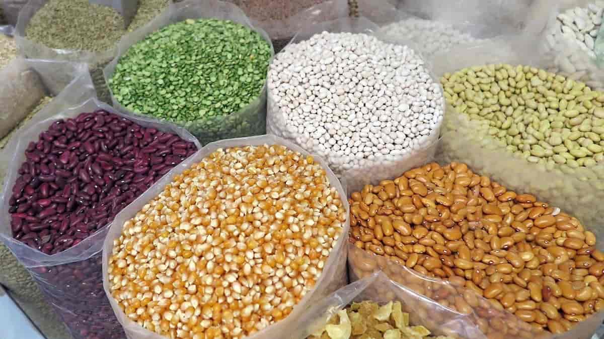 Image for India Seed Market - Analysis, Industry Size & Share with ID of: 5699786