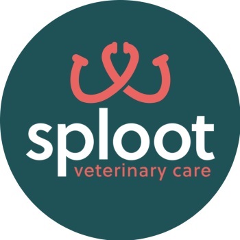 Image for Sploot Veterinary Care - 9+CO with ID of: 5715292