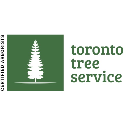 Image for Toronto Tree Service - TTS with ID of: 5715362