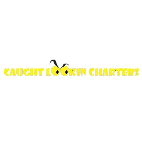 Image for CaughtLookin Charters with ID of: 5718271