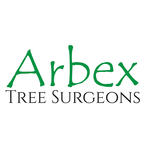 Image for Arbex Tree Surgeons with ID of: 5720488