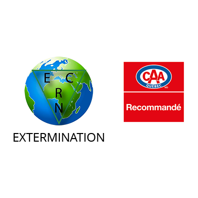 Image for ECRN Extermination inc. with ID of: 5723436