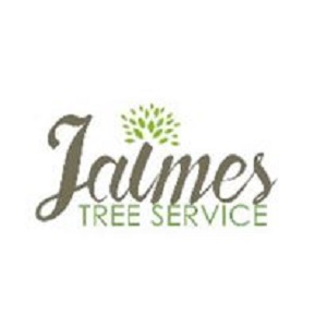 Image for Jaimes Tree Service with ID of: 5724488