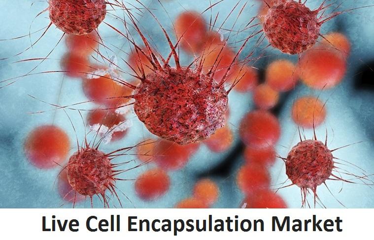 Image for Live Cell Encapsulation Market Research Analysis: Emerging Technologies and Opportunities 2028 with ID of: 5725665