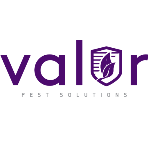 Image for Valor Pest Solutions with ID of: 5728867