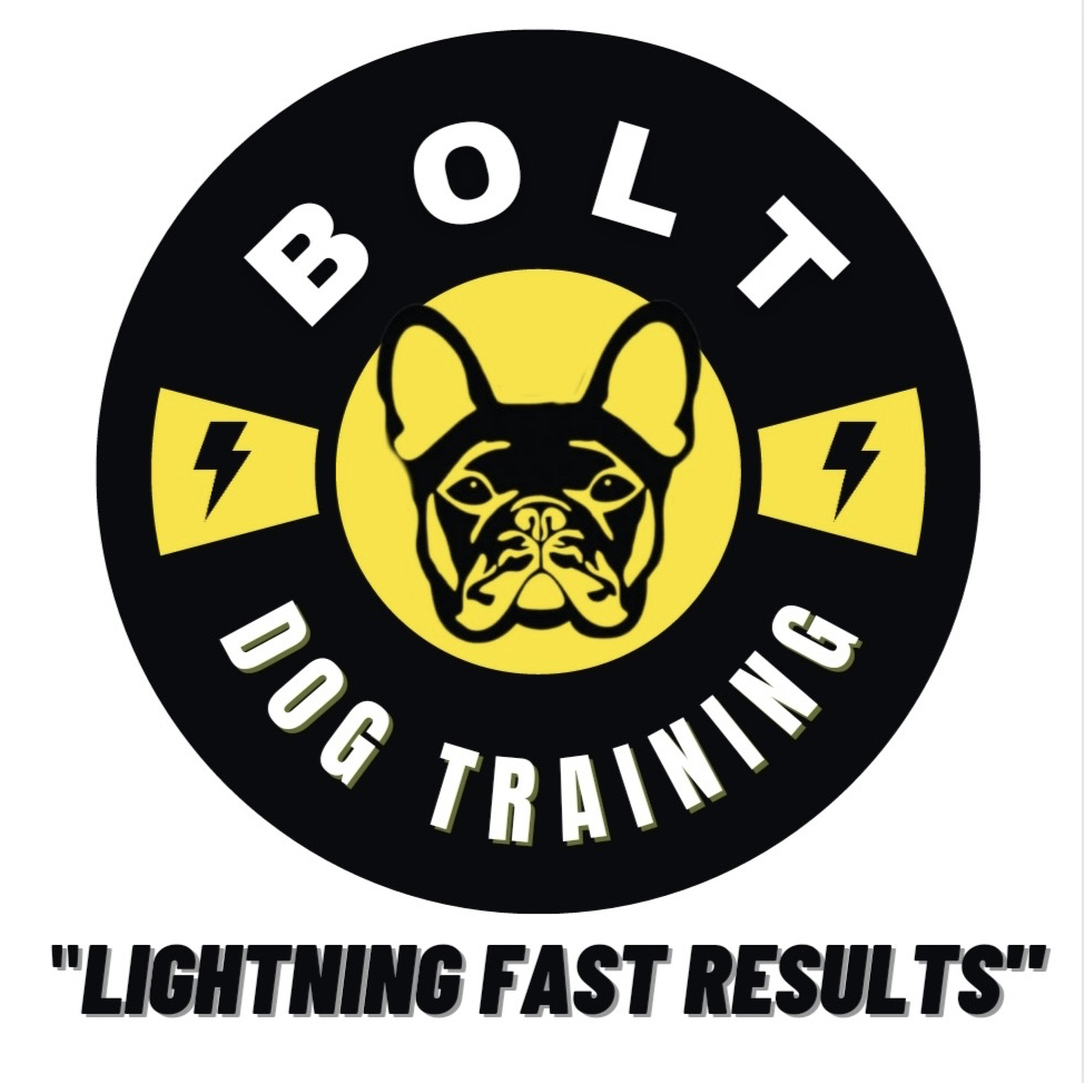 Image for Bolt Dog Training with ID of: 5729193