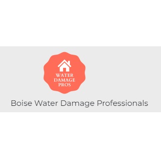 Image for Boise Water Damage Professionals with ID of: 5729276