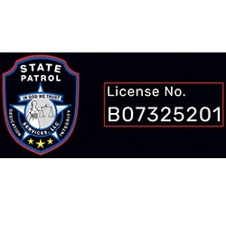Image for State Patrol Services with ID of: 5732775