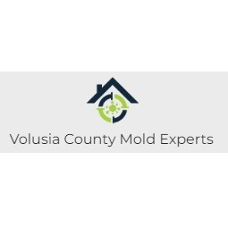Image for Volusia County Mold Experts with ID of: 5740002