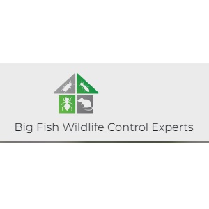Image for Big Fish Wildlife Control Experts with ID of: 5743012