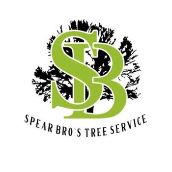 Image for Spear Bro's Tree Service with ID of: 5744396