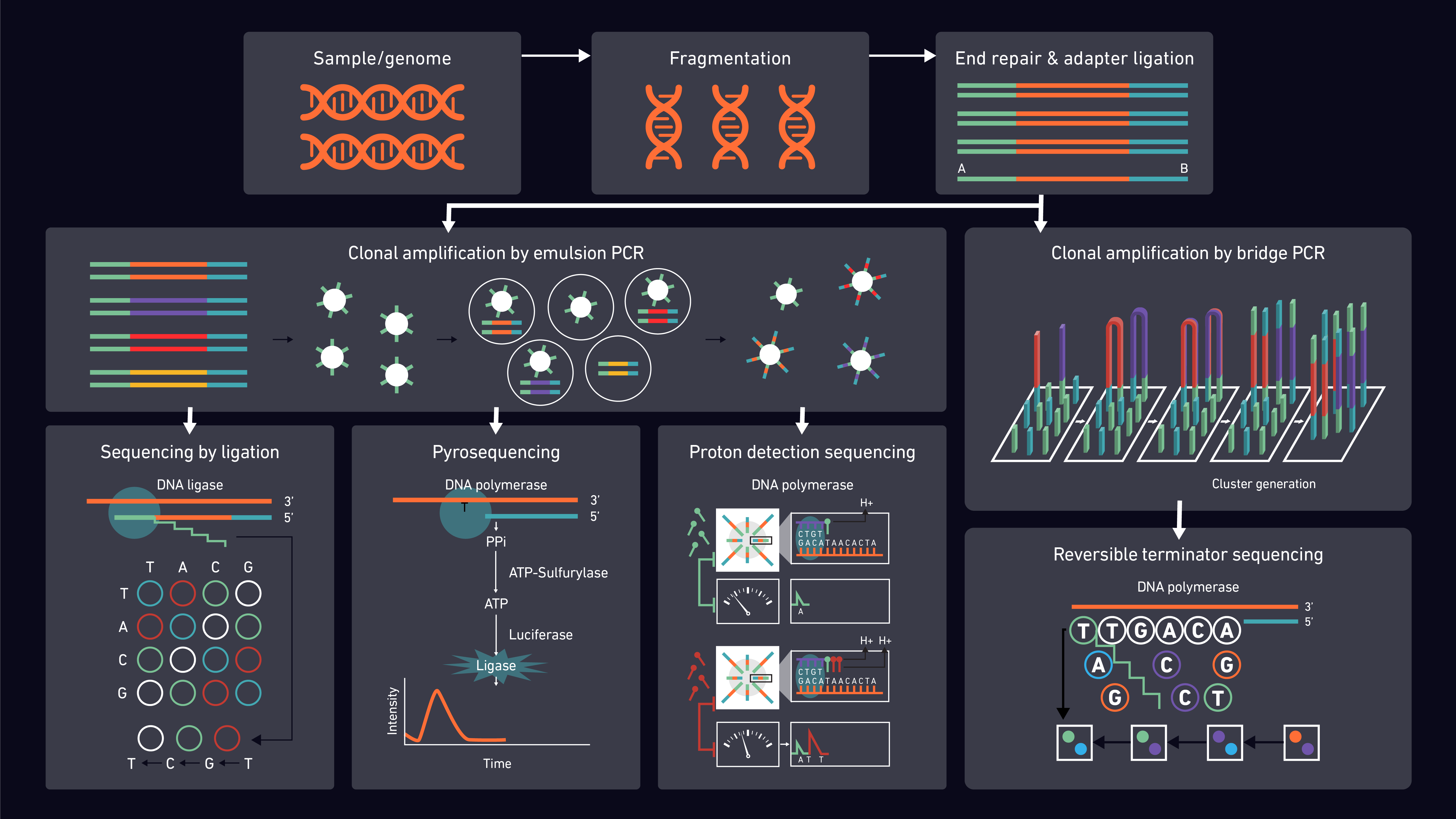 Image for Next Generation Sequencing (NGS) Informatics Market: A Comprehensive Analysis of Size, Share, and Growth - TechSci Research with ID of: 5744883