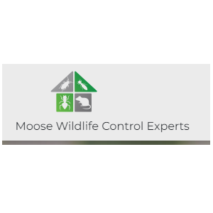 Image for Moose Wildlife Control Experts with ID of: 5745421