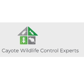 Image for Cayote Wildlife Control Experts with ID of: 5747659