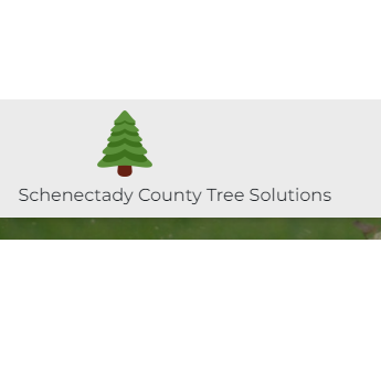 Image for Schenectady County Tree Solutions with ID of: 5747968
