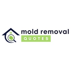 Image for Evergreen City Pro Mold Removal with ID of: 5749186