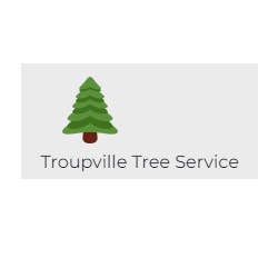 Image for Troupville Tree Service with ID of: 5749313