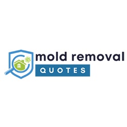 Image for San Marino Super Mold Removal with ID of: 5749418