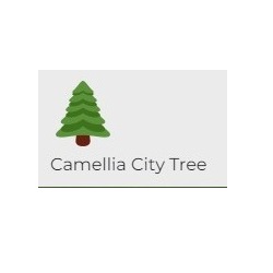 Image for Camellia City Tree with ID of: 5749673