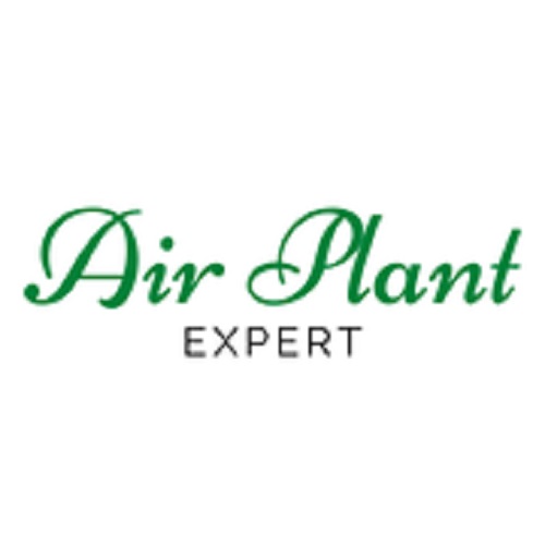 Image for Air Plant Expert with ID of: 5753873