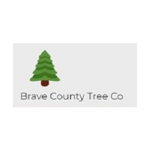 Image for Brave County Tree Co with ID of: 5755274