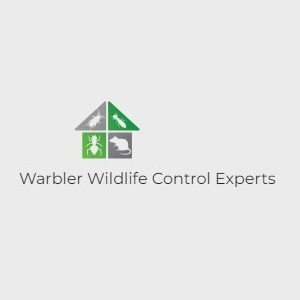 Image for Warbler Wildlife Control Experts with ID of: 5755964