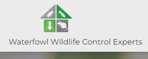 Image for Waterfowl Wildlife Control Experts with ID of: 5757166
