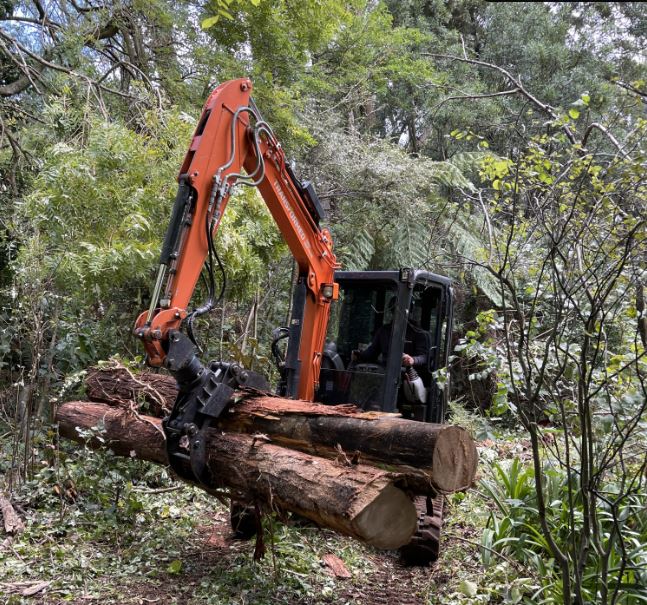 Image for Transformed Tree Services with ID of: 5758722