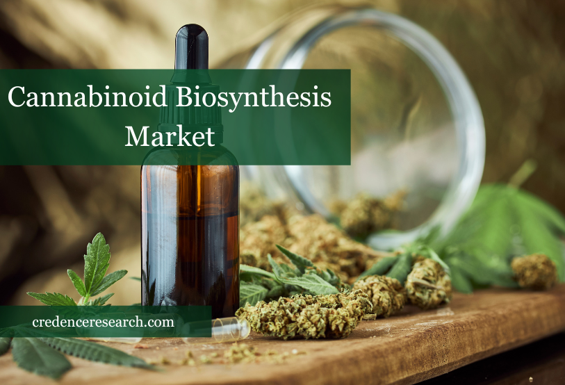 Image for Cannabinoid Biosynthesis Market Size Expected To Acquire USD 47.18 billion By 2030 At CAGR of 16.50% with ID of: 5764023