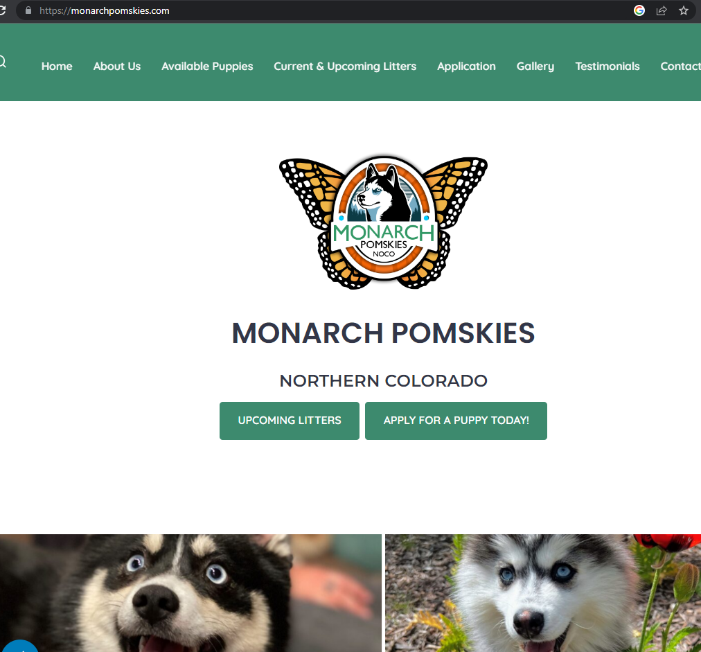 Image for Monarch Pomskies with ID of: 5765124