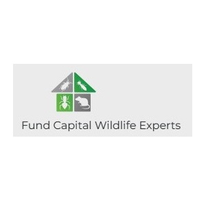 Image for Fund Capital Wildlife Experts with ID of: 5767442