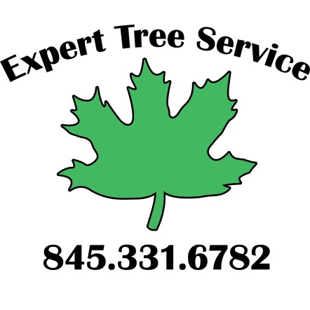 Image for Expert Tree Service with ID of: 5768335