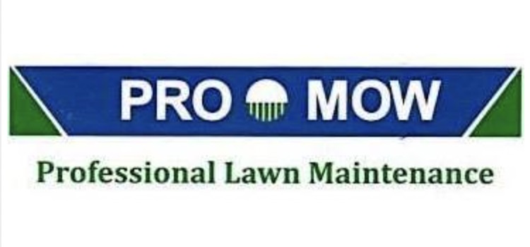 Image for Pro-Mow, Inc. with ID of: 5771116