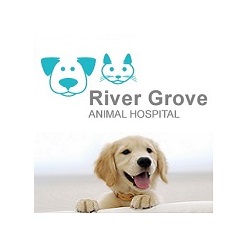 Image for River Grove Animal Hospital with ID of: 5772048