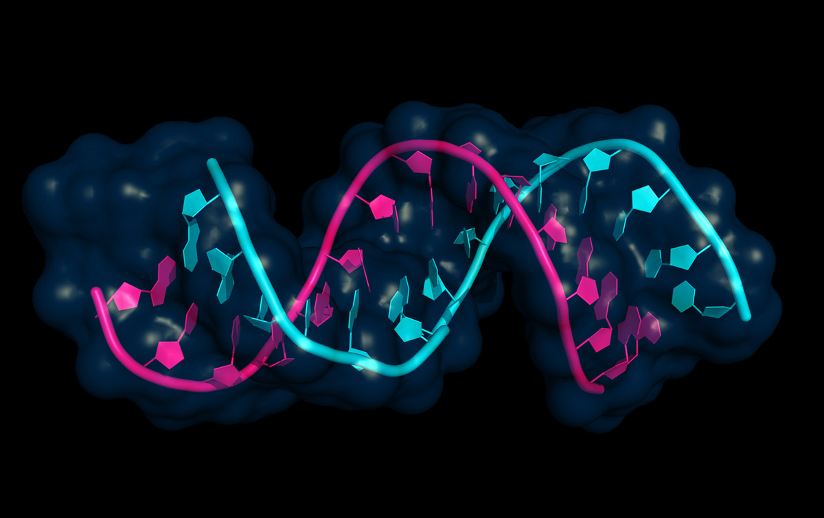 Image for Transcriptomics Market: A Competitive Intelligence Report with Key Players and Strategies with ID of: 5772918