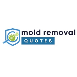 Image for Macomb County Express Mold Removal with ID of: 5774505