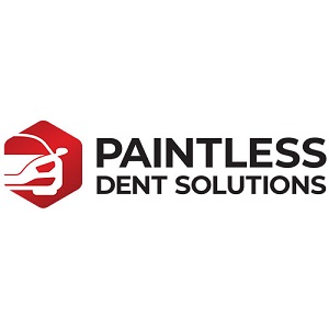 Image for Paintless Dent Solutions with ID of: 5776626